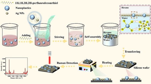 表面增强拉曼散射检测新策略及其在自然科学研究和试验发展中的应用前景