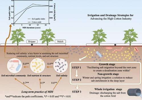 石河子大学王振华教授团队荣获兵团自然科学一等奖 彰显自然科学研究与试验发展的卓越成效
